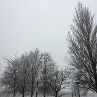 IMG_0237